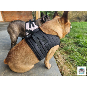 HARNAIS VESTE MUSHER NOIR BOULEDOGUE FRANCAIS