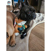 PELUCHE RENARD VERT DE NOEL