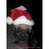 BONNET DE NOEL