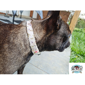 COLLECTION BELLADONA POUR BOULEDOGUE