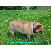 COLLIER STRASS EN CUIR POUR BOULEDOGUE