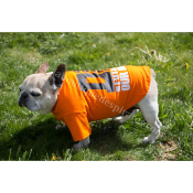 TEE SHIRT DOUBLE ORANGE POUR BOULEDOGUE