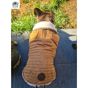 DOUDOUNE LIAM MILK & PEPPER POUR BOULEDOGUE