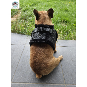 HARNAIS VESTE  JAKE POUR BOULEDOGUE FRANCAIS MILK AND PEPPER