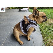 HARNAIS VESTE MERYL POUR BOULEDOGUE FRANCAIS MILK AND PEPPER