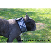 COLLIER RAFRAICHISSANT GRIS BOULEDOGUE