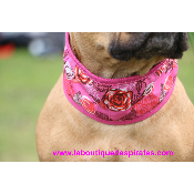 COLLIER RAFRAICHISSANT ROSE BOULEDOGUE