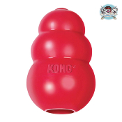 CLASSIC KONG POUR CHIEN