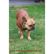 MANTEAU LEGEND POUR BOULEDOGUE