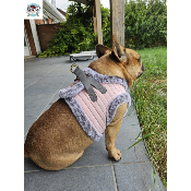 HARNAIS VESTE HERMINE POUR BOULEDOGUE FRANCAIS MILK AND PEPPER