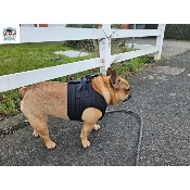 HARNAIS VESTE MUSHER NOIR BOULEDOGUE FRANCAIS