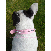 COLLIER REBELLE GIRLY POUR CHIEN