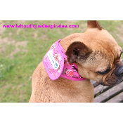 COLLIER RAFRAICHISSANT ROSE BOULEDOGUE