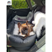 COSY CAR DELUXE GALACTICA POUR BOULEDOGUE