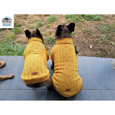 PULL TORSADE MOUTARDE POUR CHIEN