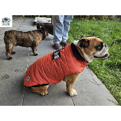 MANTEAU COSTAUD SAUMON SPECIAL BOULEDOGUE ANGLAIS