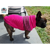 PULL DISCOVERY PINK POUR CHIEN