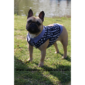 POLO REEF MP POUR BOULEDOGUE