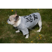 TEE SHIRT GRIS BE TRUE BOULEDOGUE