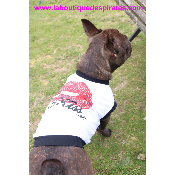 TEE SHIRT KISS ME POUR BOULEDOGUE