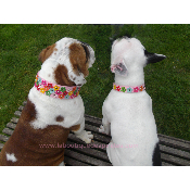 COLLIER A FLEURS BOULEDOGUE