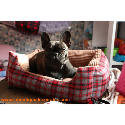 CORBEILLE OS POUR CHIOT BOULEDOGUE