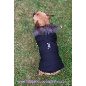 MANTEAU FORD POUR BOULEDOGUE