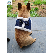 HARNAIS VESTE TYLER MILK AND PEPPER POUR BOULEDOGUE