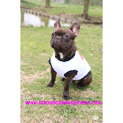 TEE SHIRT KISS ME POUR BOULEDOGUE