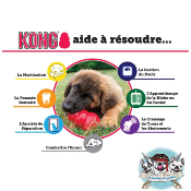 CLASSIC KONG POUR CHIEN