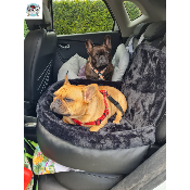 COSY CAR BLACK CONFORT TEDDY POUR BOULEDOGUE