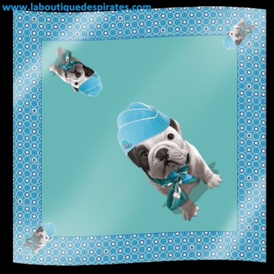 FOULARD TEO JASMIN AIRLINE AQUA