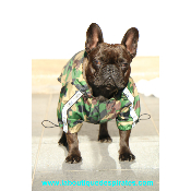 IMPERMEABLE POUR BOULEDOGUE  PUPPIA