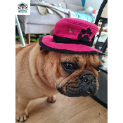 CHAPEAU ROSE MOTIF PATTE
