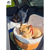 COSY CAR CARAMEL CONFORT POUR BOULEDOGUE