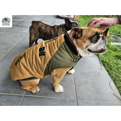 MANTEAU SCHOOL SPECIAL BOULEDOGUE ANGLAIS