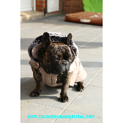 PARKA NAVY BOULEDOGUE MILK & PEPPER