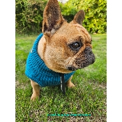 PULL CONNOR PETROLE SPECIAL BOULEDOGUE FRANCAIS