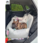 COSY CAR DELUXE BOULEDOGUE