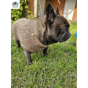 PULL CONNOR MARRON SPECIAL BOULEDOGUE FRANCAIS ET ANGLAIS
