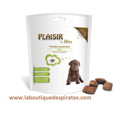 BISCUIT PLAISIR HERY CHIOT