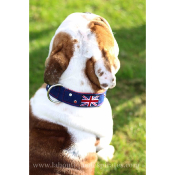 COLLIER LONDON POUR BOULEDOGUE