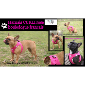HARNAIS VESTE CURLI FUSHIA BOULEDOGUE