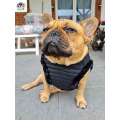 HARNAIS VESTE KURT MILK AND PEPPER POUR BOULEDOGUE