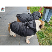 IMPERMEABLE STUART POUR BOULEDOGUE ANGLAIS