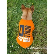 TEE SHIRT DOUBLE ORANGE POUR BOULEDOGUE