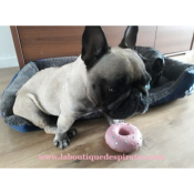 DONUT LATEX POUR BOULEDOGUE