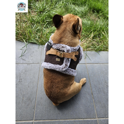 HARNAIS VESTE MERYL POUR BOULEDOGUE FRANCAIS MILK AND PEPPER