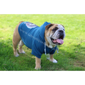 SWEAT TEO INUIT POUR BOULEDOGUE ANGLAIS