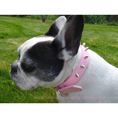 COLLIER REBELLE GIRLY POUR CHIEN